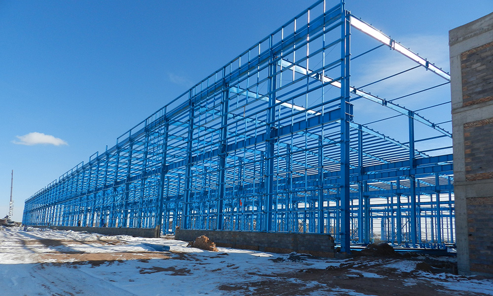 Steel Structure Warehouse Building